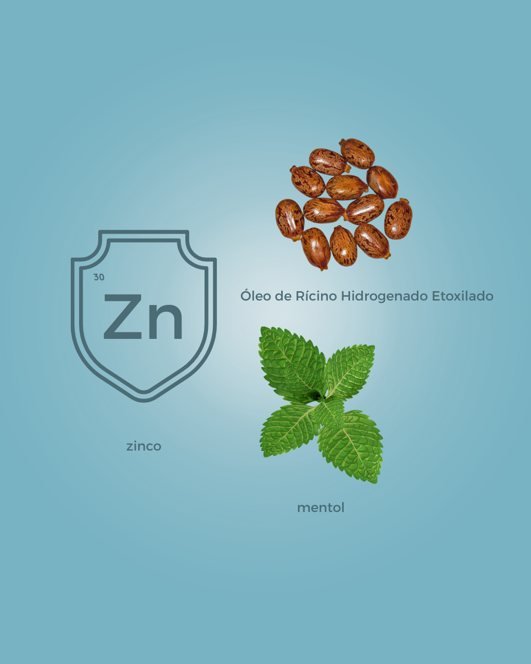 Ingredientes da linha para couro cabeludo seco e coceira, destacando mentol, zinco e óleo de rícino, que ajudam a acalmar, purificar e hidratar a pele do couro cabeludo.