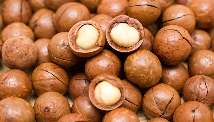 Frasco de óleo de macadâmia com noz ao lado, rico em ácidos graxos e antioxidantes que hidratam profundamente, reduzem o frizz, aumentam o brilho e protegem os fios contra danos térmicos.