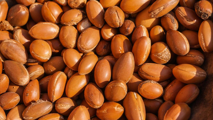 Óleo da Castanha de Argan (Argan Nut Oil) – Deeply nourishes, moisturizes, and adds shine.